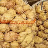 Ile ziemniaków na osobę? Precyzyjny poradnik (200-250g!)