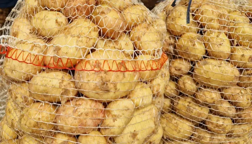 Ile ziemniaków na osobę? Precyzyjny poradnik (200-250g!)